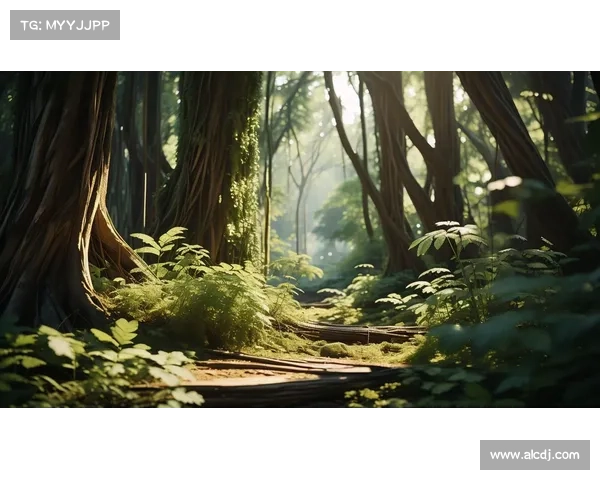 探秘精灵世界:走进神秘森林探索与奇幻之旅的全攻略 探秘精灵世界:走进神秘森林探索与奇幻之旅的全攻略