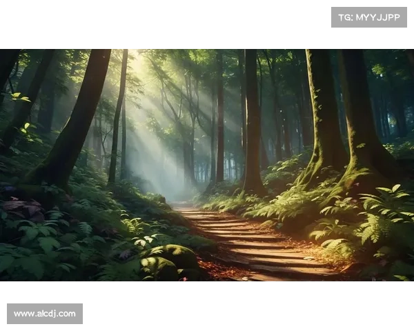 精灵之境神秘森林的未知秘境与古老传说探索 精灵之境神秘森林的未知秘境与古老传说探索