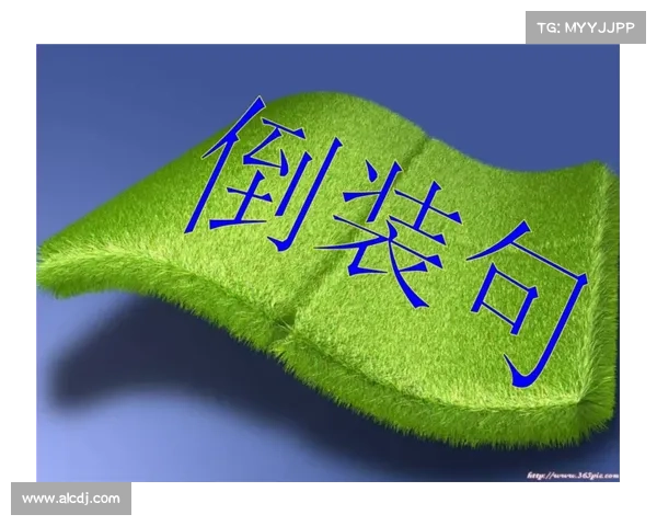 《巴舒亚伊语言使用指南：了解基础语法与常用表达技巧》