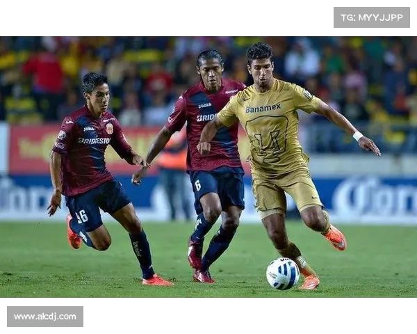 从赛事体系与参赛队伍分析如何判断美冠杯比赛所属级别