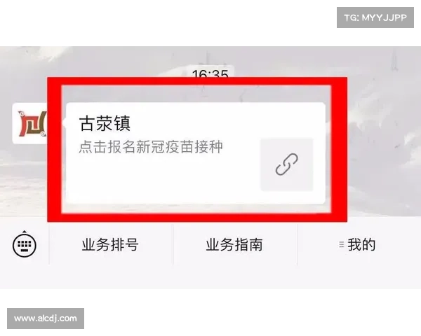全面解析法甲冠军标志特征的实用识别指南与权威鉴别技巧概览