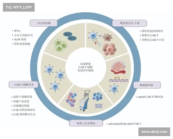 山东泰山训练策略分析：成功因素与挑战的深度探讨